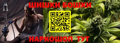 шишки Абакан