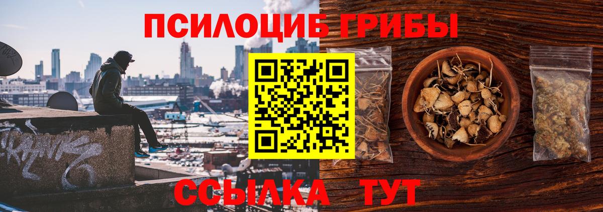 Псилоцибиновые грибы GOLDEN TEACHER Алексеевка